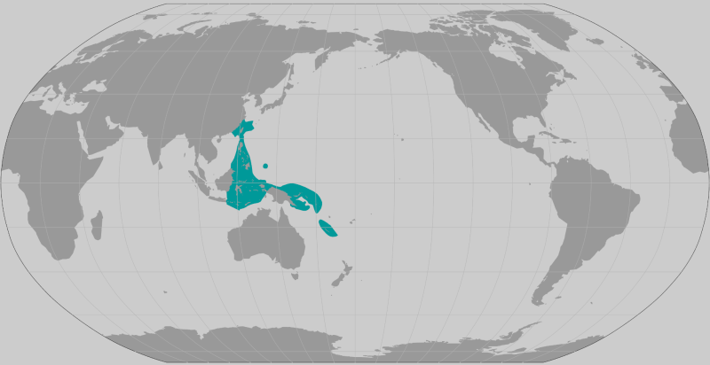 Anacropora spinosa range map
