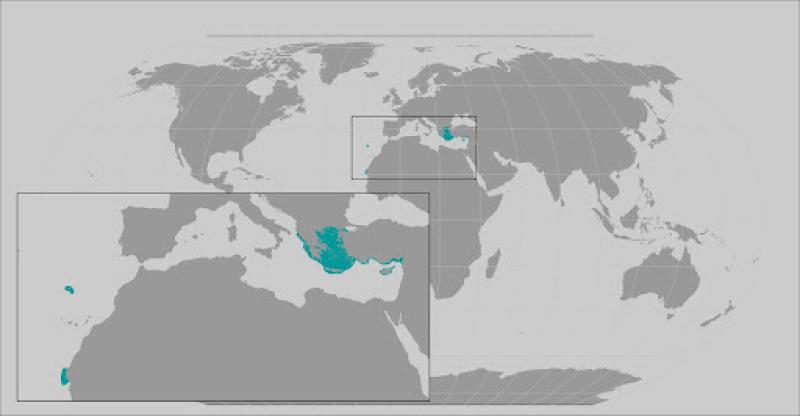 Mediterranean monk seal range map