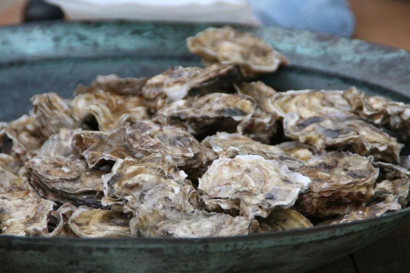 3054x2036-bowl-of-kachemak-bay-oysters-AKRO.jpg
