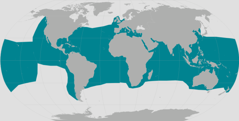 World range map for green turtle.