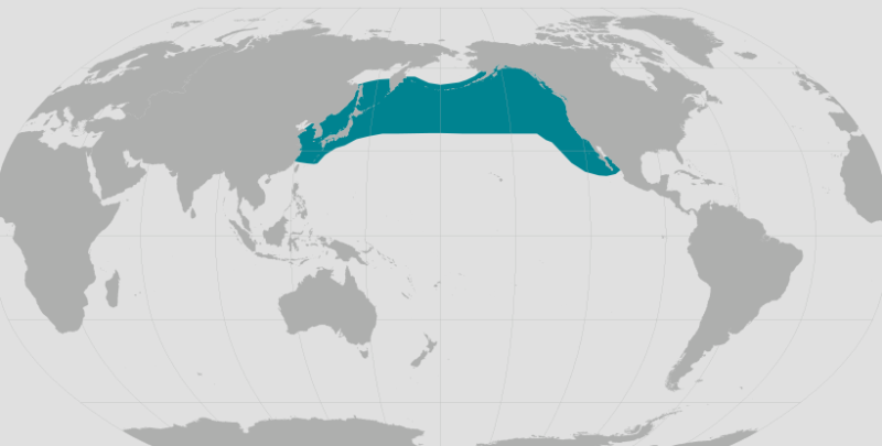 Pacific White-sided Dolphin Range.png