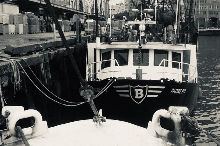 Black and white of fishing vessels tied to dock. 