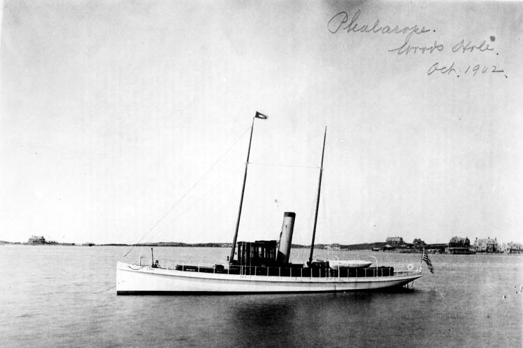 The steamer phalarope, out of Woods Hole.
