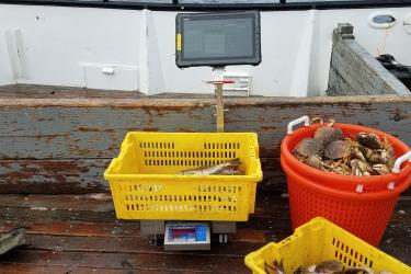 An OPTECS portable sampling station in use on a fishing vessel.