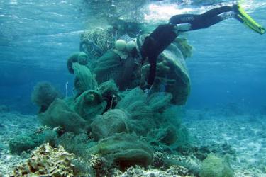 A diver assesses a large net before developing a plan for removal
