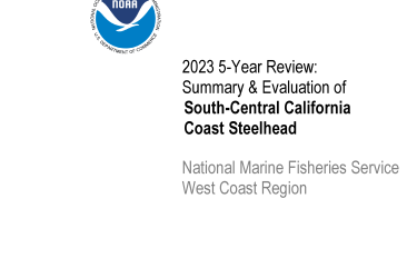 South-Central California Coast Steelhead 5-Year-Review cover