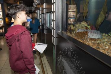 A tall young man  holds a list of instructions and is looking at a wolffish in an aquarium tank on the right side of the picture. 
