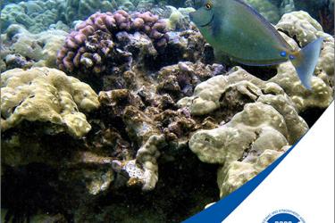 Brochure cover photo of the Essential Fish Habitat in Hawai'i with a photo of two fish swimming among various coral. 