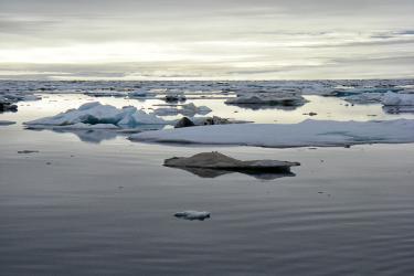 Floating sea ice in the Alaskan Arctic