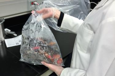 Crab legs labled and stored for testing.jpg