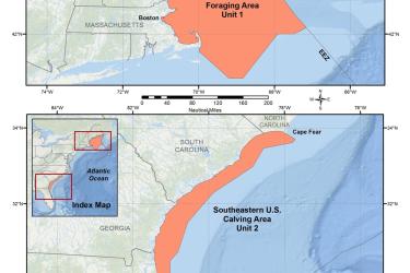 map-North-Atlantic-right-whale-critical-habitat-GARFO-SERO.jpg