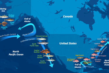 Map of United States with different fish species along the coasts that show where each species lives