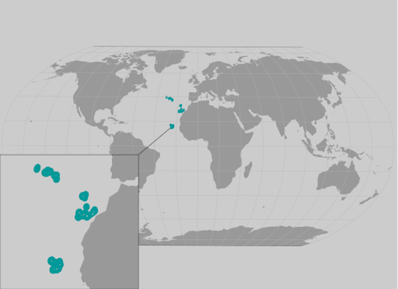 Island grouper range map