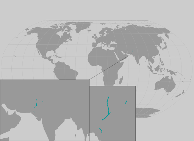 Indus river dolphin range map