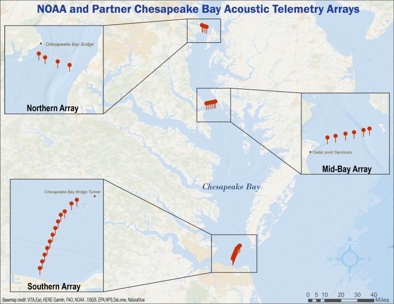 Map of three arrays of acoustic telemetry receivers in the Chesapeake Bay