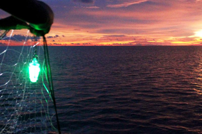 In the left foreground, a set of hands hold a gillnet with green LED sticks attached. In the background the sunsets in an array of pinks, purples, yellows and oranges in the clouds over the water. 